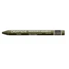 Caran D'ache Neocolor Ii akvarelinė kreidelė 049 Raw Umber