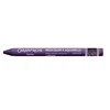 Caran D'ache Neocolor Ii akvareliniai pieštukai 099 Aubergine