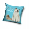 Carbotex Užvalkalas dekoracyjna 40x40 Kot Kotek Ragdoll