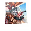 Carbotex Užvalkalas poduszkę velvet welurowa jaśka jasiek 40x40 spiderman spider-man