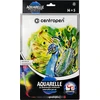 Centropen Vandens žymekliai Aquarelle 12 spalvų + priedai, 19 vnt.