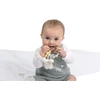 Chicco 184354 CUDDLY BUNNISH TEETHING TOY