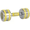 Chromuotas hantelis inSPORTline Yellsteel 7kg