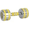Chromuotas hantelis inSPORTline Yellsteel 8kg