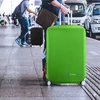 CIRON TRAVEL lagamino užvalkalas, M dydis, lankstus, žalias