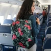 Convey Kelioninis rankinis bagažas 40x30x20cm, Ryanair, Wizzair