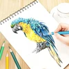 Craft Sensations Profesionalios minkštos spalvotos kreidelės, 46 vnt.