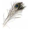 Craft with Fun Dekoratyvinis ornamentas Plunksnos 32cm 1pc Paw Pbh 20/1200