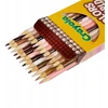 Crayola, Inc. CRAYOLA Colours of the World Coloured Pencils 24ct