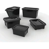 Plastikinė dėžė Pro Box Plast Team 70L juoda