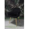 Dankor Design Lisbon fotelis, juodas veliūras, auksinės chromuotos kojos