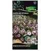 Darželinių petunijų sėklos Delux Garden 10vnt. Pirouette Violetinė