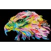 Diamond Dotz Deimantinė mozaika EAGLE EYE 27x42 cm