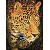 Diamond Dotz Deimantinė mozaika LEOPARD PORTRAIT 40x30 cm