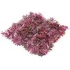 Dekorat. atitvaras su dirbtiniais lapais MZ188005A LT 1x1m
