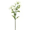 Bikuvalt Dekoratyvinė gėlė Chrizantemos šakelė balta/žalsva (12) h 76 cm SAVEX