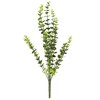 Bikuvalt Dekoratyvinė gėlė Eukaliptas 46 cm W105 SAVEX