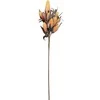 Dekoratyvinė gėlė Foam H70cm įvairių sp.