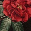 Home4You Dekoratyvinė pagalvėlė HOLLY ROSE 45x45cm