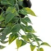 Dekoratyvinis augalas 45 cm juodas vazonas Atmosphera 155634A
