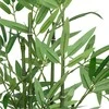 Bikuvalt Dekoratyvinis augalas Bambukas 32x46 cm, pintas vazonas Atmosphera 204209