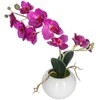 Bikuvalt Dekoratyvinis augalas Orchidėja su vazonu 20x20x26 cm (mix) Atmosphera 155716