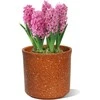 Dekoratyvinis gėlių vazonas Ø11cm H11cm keraminis/rudas