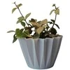 Dekoratyvinis gėlių vazonas Ø14cm H14cm baltas