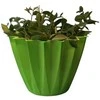 Dekoratyvinis gėlių vazonas Ø14cm H14cm šviesiai žalias