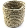 Dekoratyvinis gėlių vazonas Ø16cm H16cm jūros dumblių