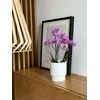 Dekoratyvinis gėlių vazonas Barcelona Ø13cm H15cm keraminis/baltas