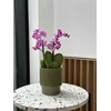 Dekoratyvinis gėlių vazonas Barcelona Ø13cm H15cm keraminis/žalias