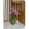 Dekoratyvinis gėlių vazonas Barcelona Ø13cm H15cm keraminis/žalias