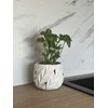 Dekoratyvinis gėlių vazonas Barcelona Ø15.5cm H13cm keraminis/baltas