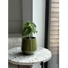 Dekoratyvinis gėlių vazonas Barcelona Ø15cm H15cm keraminis/žalias