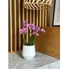 Dekoratyvinis gėlių vazonas Barcelona Ø15cm H15cm keraminis/baltas