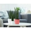 Dekoratyvinis gėlių vazonas Brussels Elho 14cm baltas 150