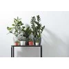 Dekoratyvinis gėlių vazonas Brussels Elho 14cm baltas 150