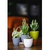 Dekoratyvinis gėlių vazonas Deco Ø7cm H6cm keraminė/pilka