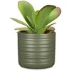 Dekoratyvinis gėlių vazonas Forest Žalias Ø14cm H12.8cm keraminis/žalias