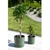 Dekoratyvinis gėlių vazonas Tubo P Ø14.8cm H14.7cm plastikinis/žalias