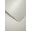 ARGO Galeria Papieru Dekoratyvinis popierius MILLENIUM A4 sidabrinis 220g 20l
