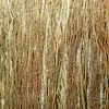Dekoratyvus viržių atitvaras LT 150x300cm natūralios spalvos