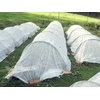 Bradas Dengiamoji agrotekstilė nuo šalčių Balta 1,6x10m 50g AWW5016010
