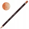 Derwent Coloursoft pieštukas - Imbierinis C550
