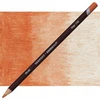 Derwent Coloursoft pieštukas - Imbierinis C550