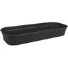 Dėžutė daigams Žalias basic L Elho 51x19x7.5cm juoda