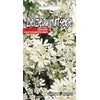 Didžiažiedė orlaja 0.3g Baltas Lace