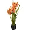 Dirbtinė cimbidija vazone H71cm oranžinė