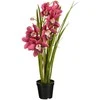 Dirbtinė cimbidija vazone H71cm tamsiai rožinė